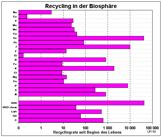 Recycling in der Biosphäre (8274 Byte)